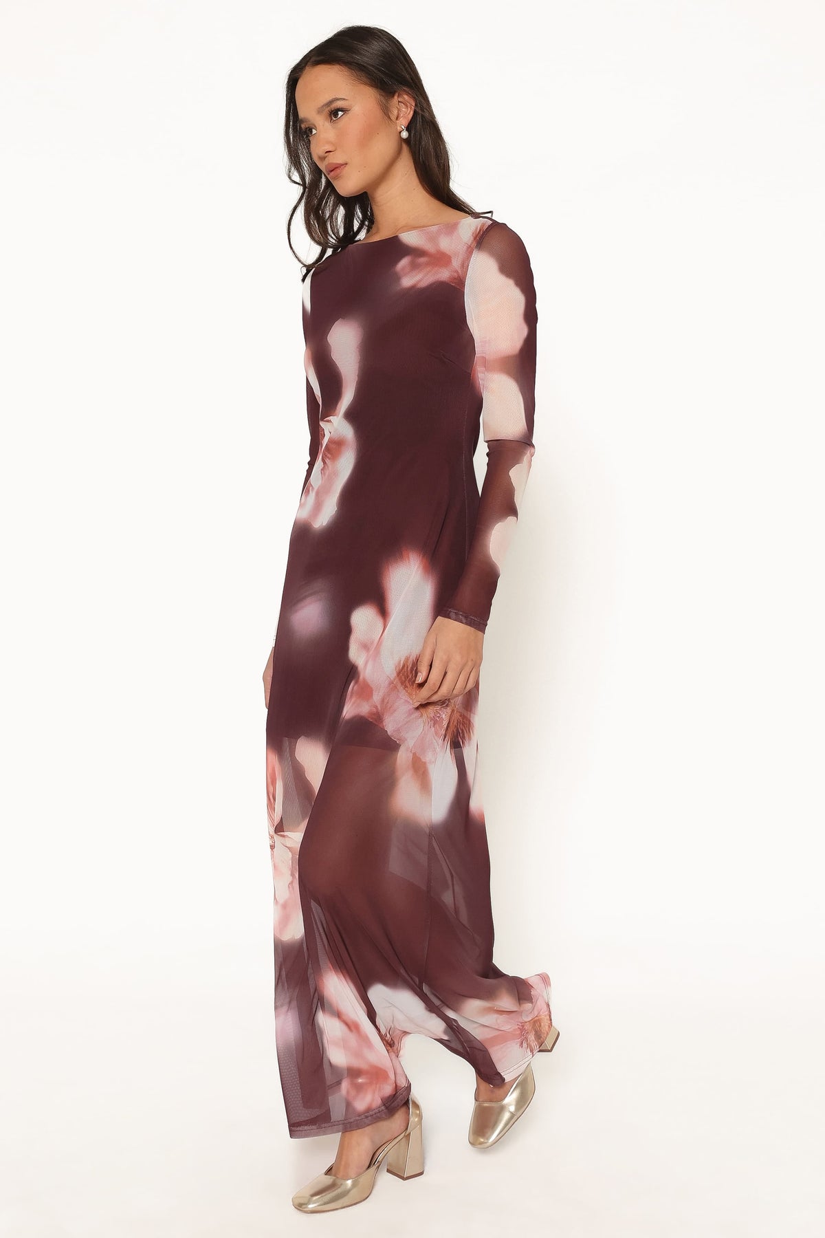 Bradshaw Maxi Dress - Brown Blurred Floral