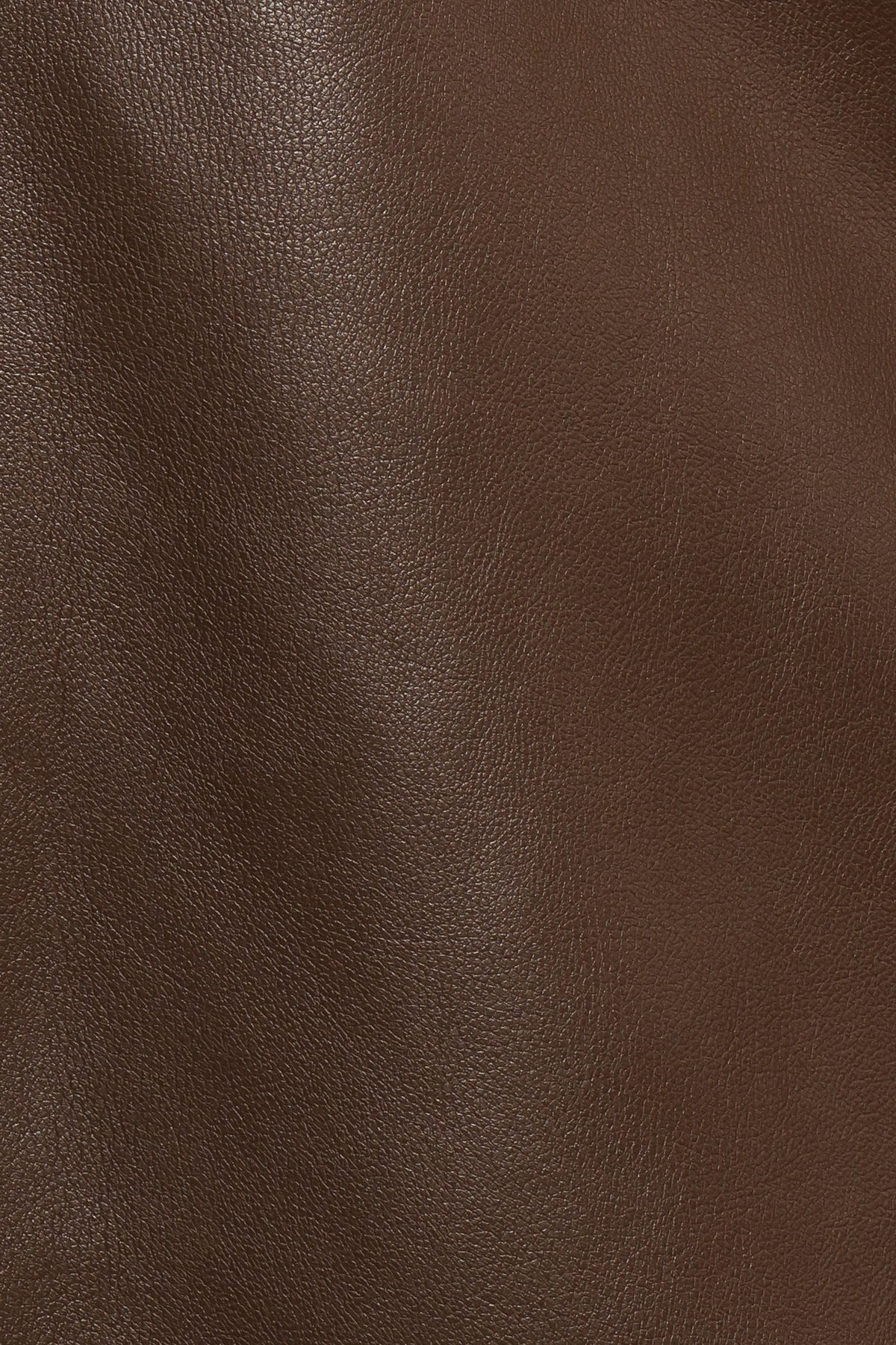 Haelee Faux Leather Skirt - Brown