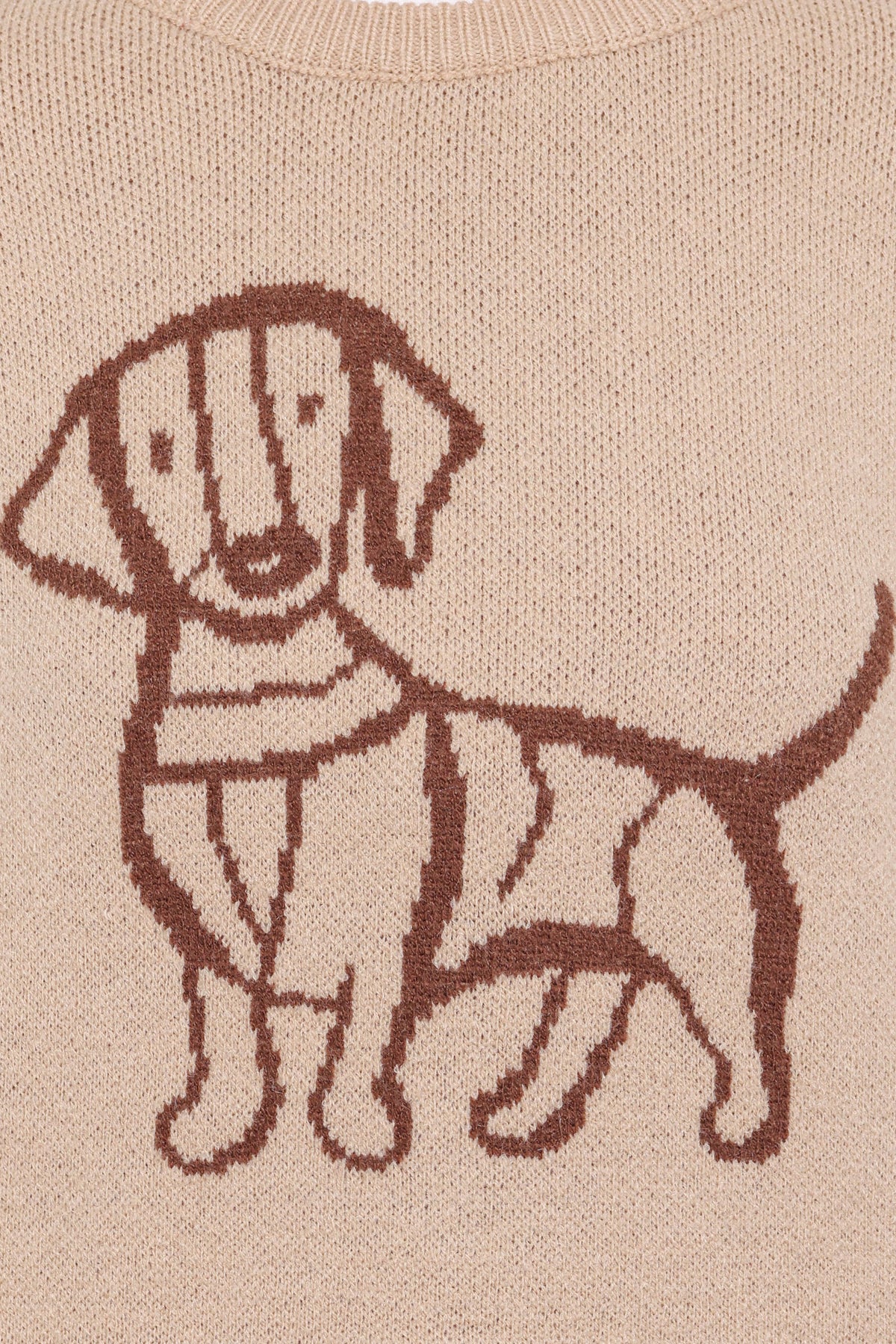 Amber Dachshund Sweater - Beige